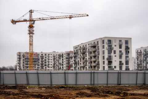 Mieszkańcy Targówka rozbudują „Raj” w Parku Bródnowskim